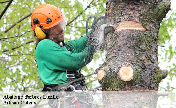 Abattage d'arbres  luzille-37150 Artisan Coteux