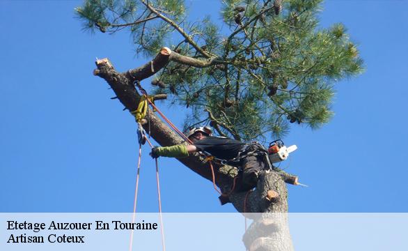 Etetage  auzouer-en-touraine-37110 Artisan Coteux