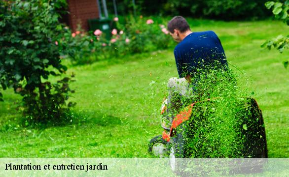 Plantation et entretien jardin  37220