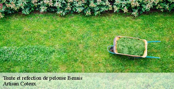 Tonte et refection de pelouse  benais-37140 Artisan Coteux