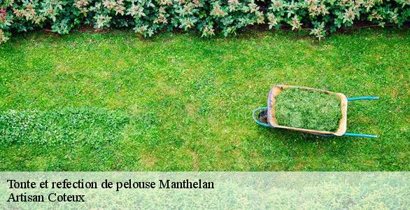 Tonte et refection de pelouse  manthelan-37240 Artisan Coteux