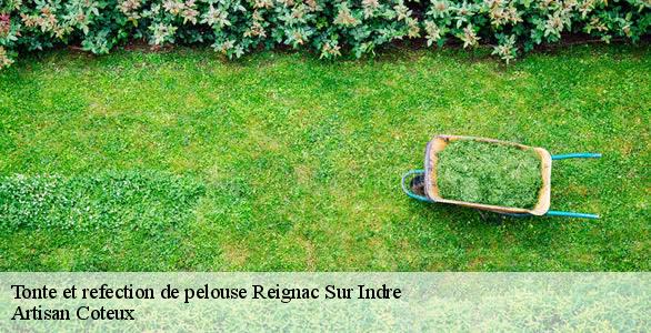 Tonte et refection de pelouse  reignac-sur-indre-37310 Artisan Coteux