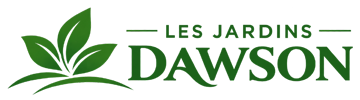 elagage-les-jardins-dawson